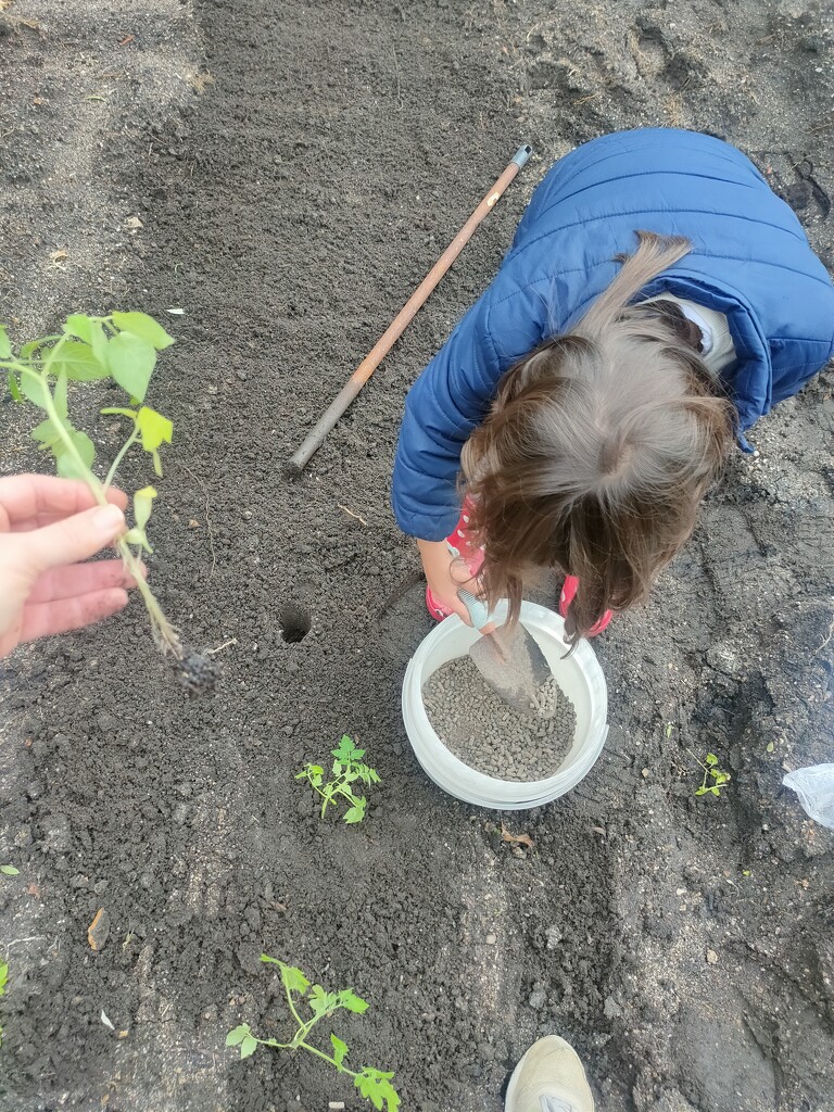 Planting by belucha