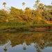 The Gambia River at Wassadou by peachfront