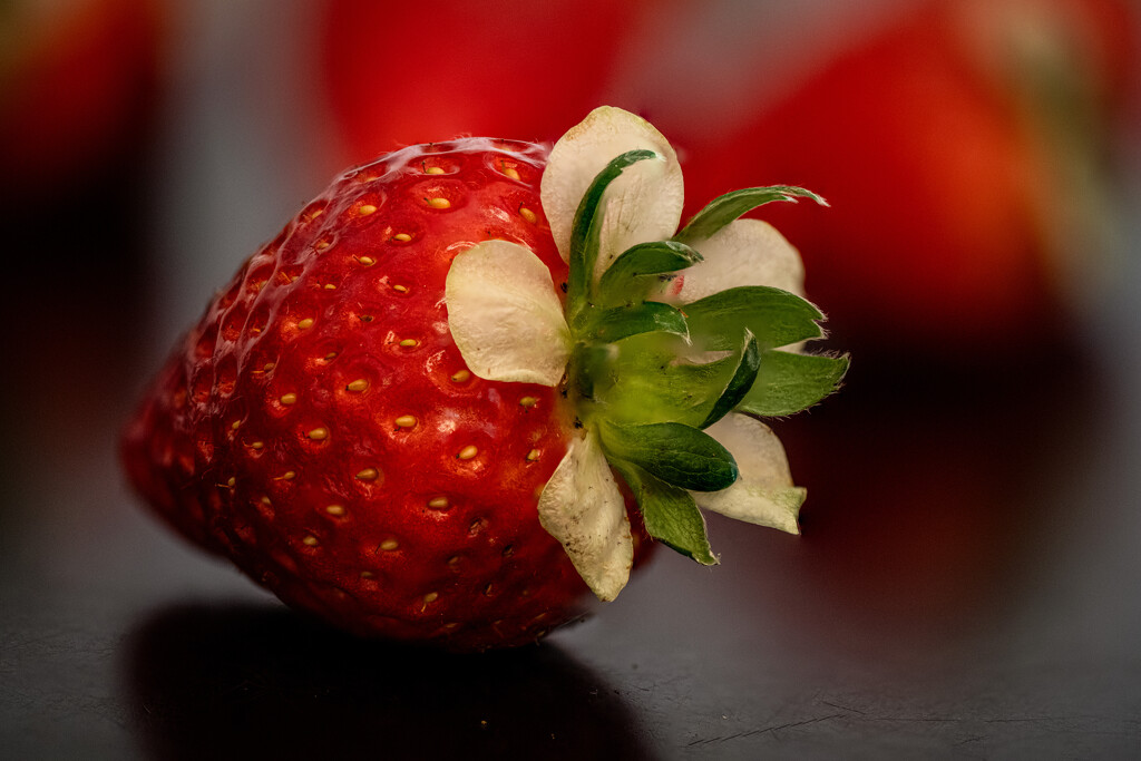 04-01 - Strawberry by talmon