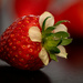 04-01 - Strawberry by talmon