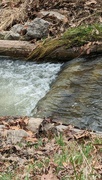 1st Apr 2024 - Creek waters