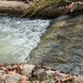 Creek waters by julie