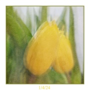 1st Apr 2024 - Spring colours
