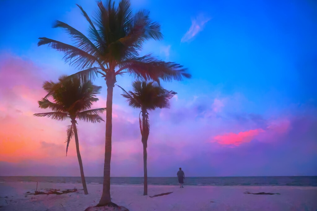 Florida Sunrise by lynnz