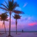 Florida Sunrise by lynnz