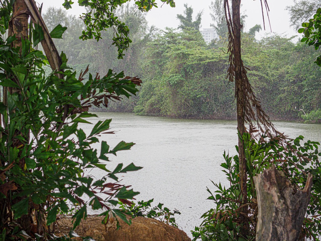 Heavy rain at Hidden Lake, Teluk Bayu. by ianjb21