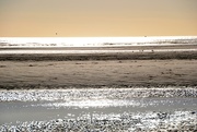 2nd Apr 2024 - Memory Month:  Camber Sands