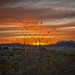 Sunrise in Terlingua by dkellogg