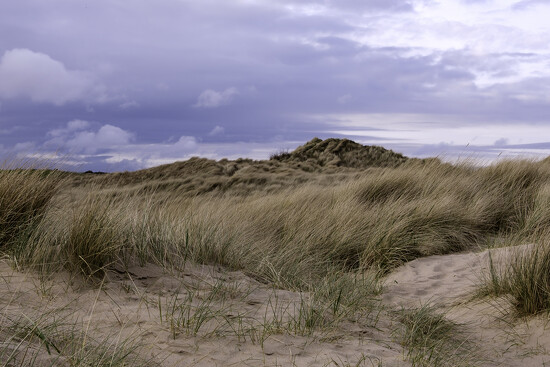 Warkworth beach by helenhall