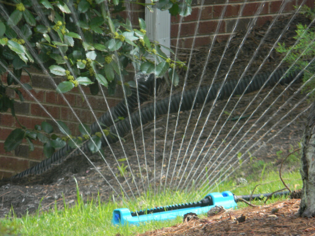 Sprinkler in Neighbor's Yard  by sfeldphotos