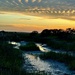 Marsh sunset 1