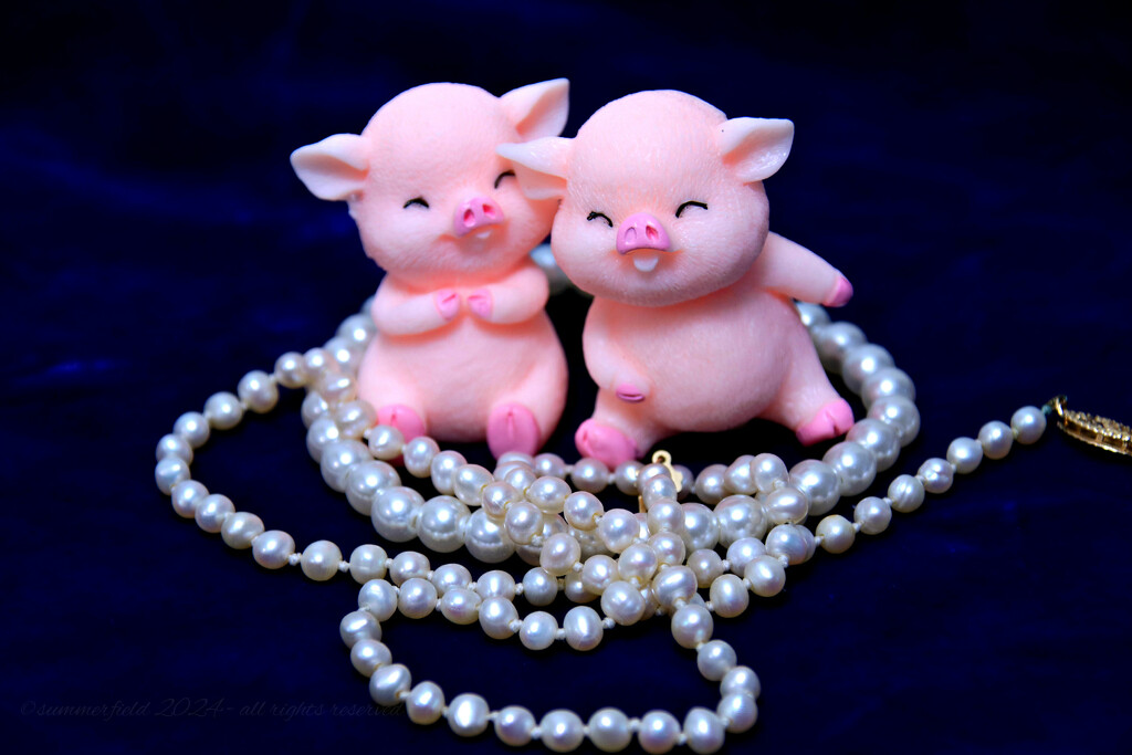 "do not cast pearls before swine" by summerfield