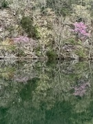 3rd Apr 2024 - Reflections in the Quarry Pond