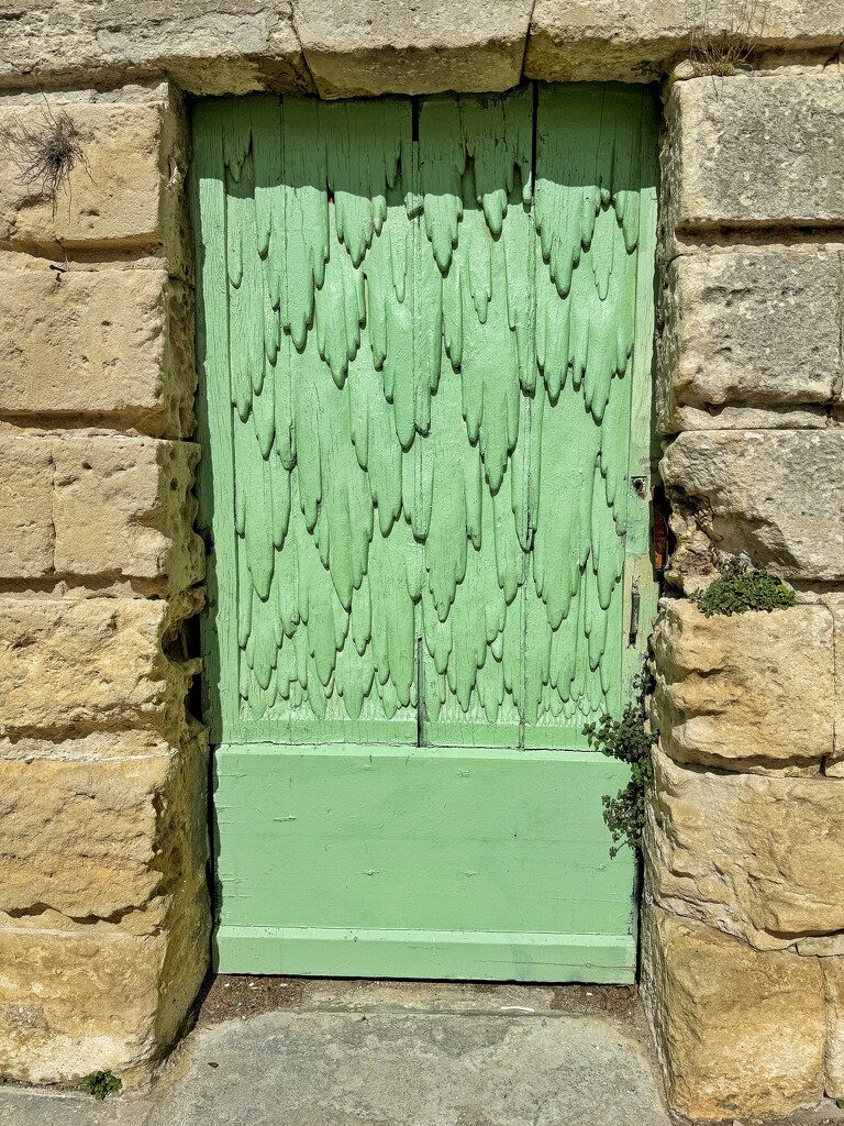 Strange green door.  by cocobella