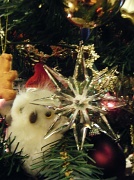 4th Jan 2011 - Christmas Tree