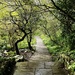 94/366 - Sheffield Botanical Gardens  by isaacsnek