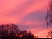 21st Feb 2024 - Red sky at night..