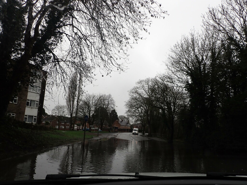 Flood ahead by speedwell