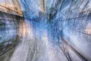 3rd Apr 2024 - Trees in Motion ICM