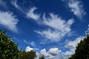 4th Apr 2024 - Feather Clouds ~