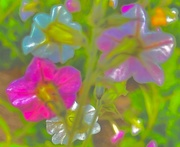 4th Apr 2024 - Flower photo painting