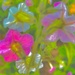 Flower photo painting by congaree