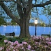 Early evening, Colonial Lake Park, Charleston by congaree