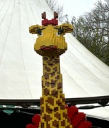 3rd Apr 2024 - Lego giraffe