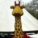 Lego giraffe by lizgooster