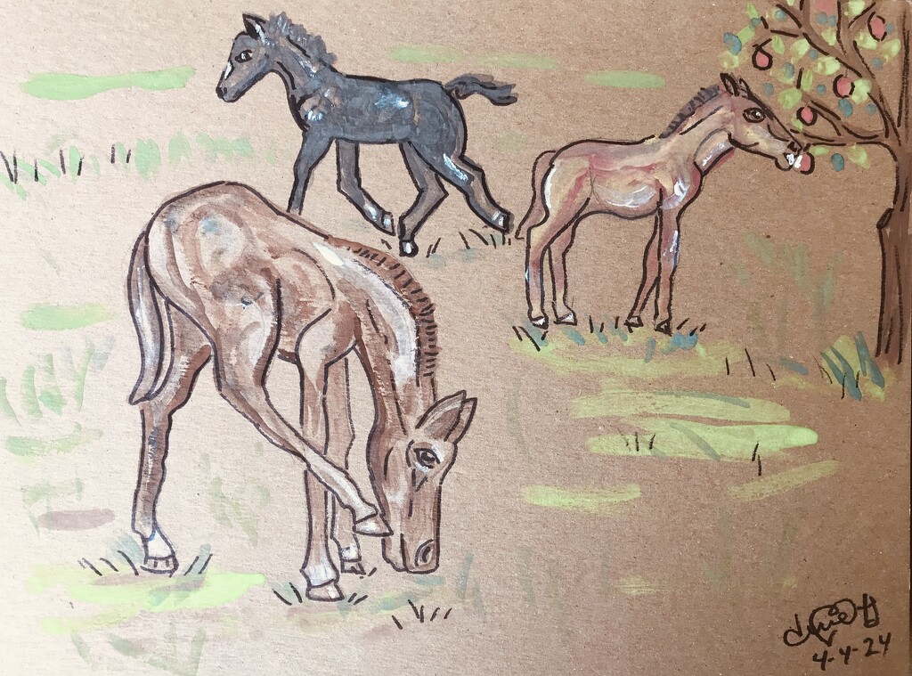 Colts on cardboard by pandorasecho