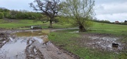 4th Apr 2024 - Wet Spring