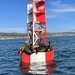 B & B for Sea lions by peekysweets