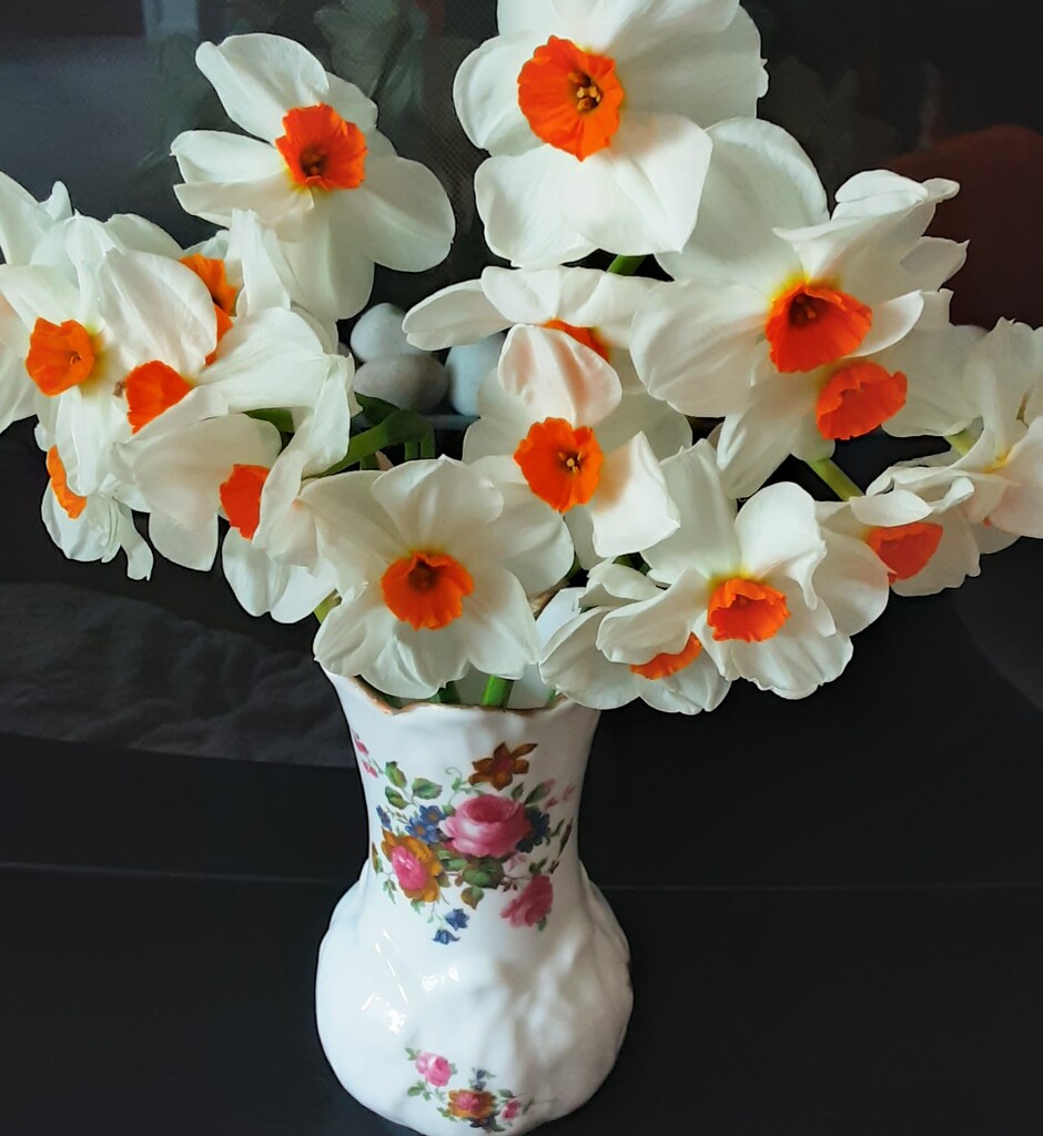 A vase of orange centred daffodils.  by grace55