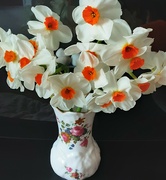 5th Apr 2024 - A vase of orange centred daffodils. 