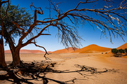 29th Jul 2023 - Shade in the Namib Desert