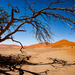 Shade in the Namib Desert