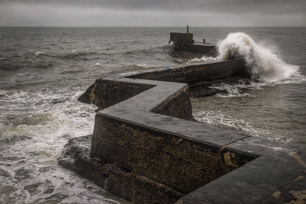 Here comes the wave! by billdavidson