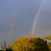 Rainbow Over Tree by leopuv