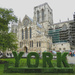York by fishers