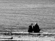2nd Apr 2024 - Couple on the Beach