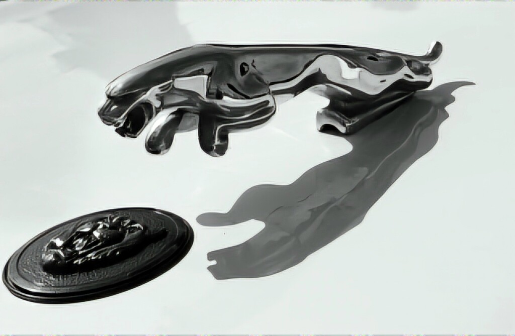 The Infamous Jaguar by denisen66