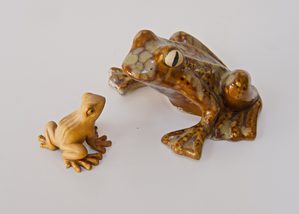 frog7 by kametty