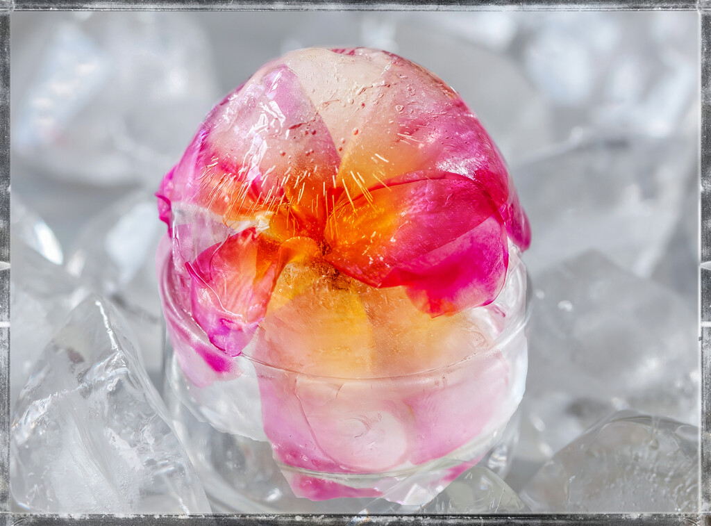 Frozen egg by ludwigsdiana