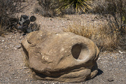 29th Mar 2024 - Rock, Metates (mortar holes) 