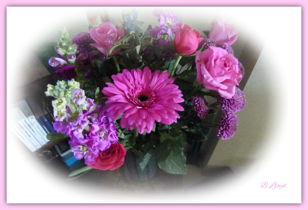 A lovely bouquet of flowers  by beryl