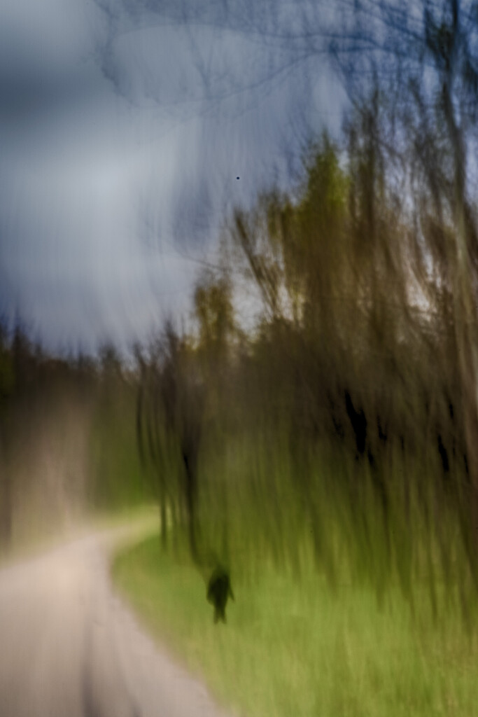Lonely Road ICM by kvphoto