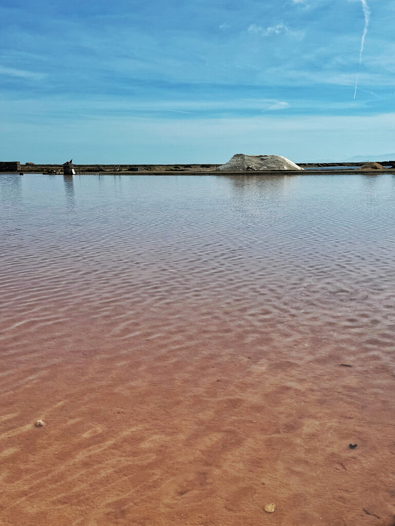 Pink sea, white salt.  by cocobella