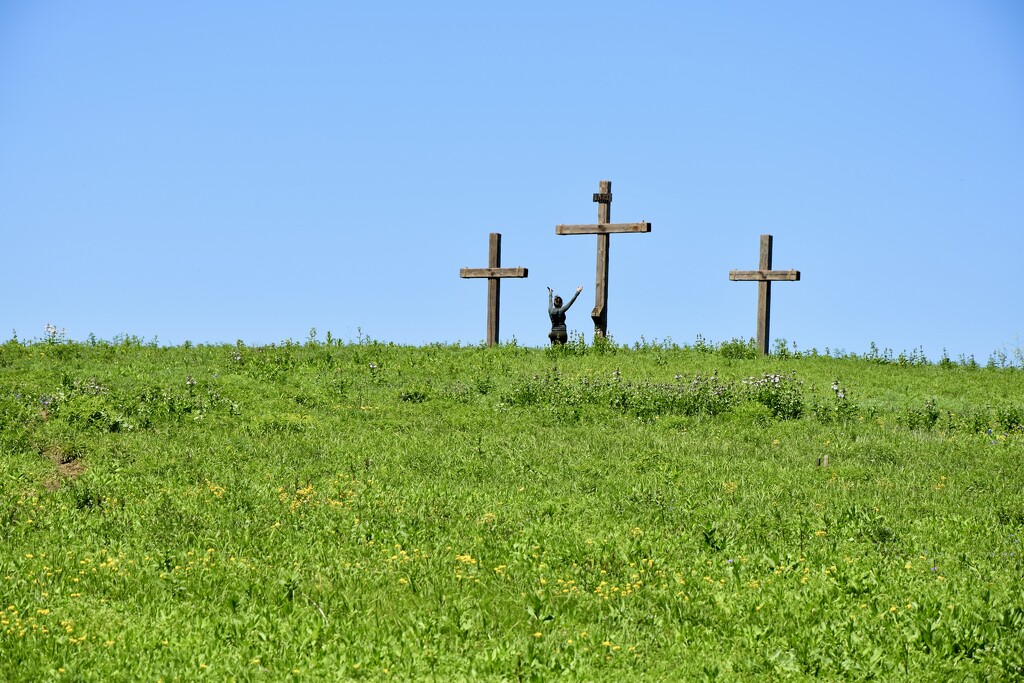 The Flower Mound crosses by louannwarren
