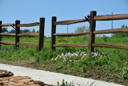 3rd Apr 2024 - The entrance to the Flower Mound area