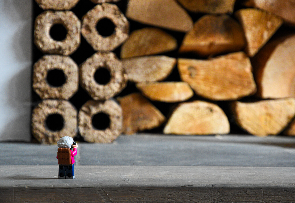 Meg and the wood pile by tiaj1402